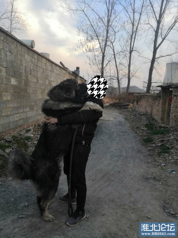 020202mhquhrtptzzetqzy.jpg