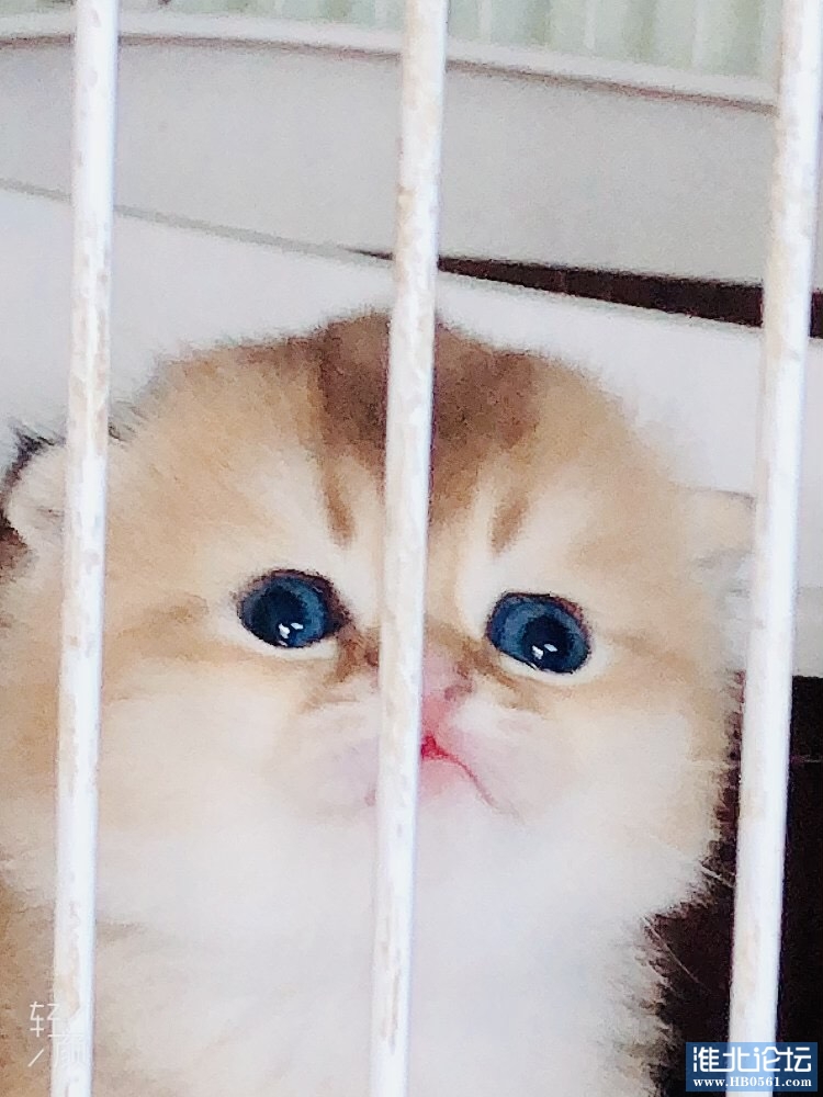 045042heekk7d80ktfqks1.jpg