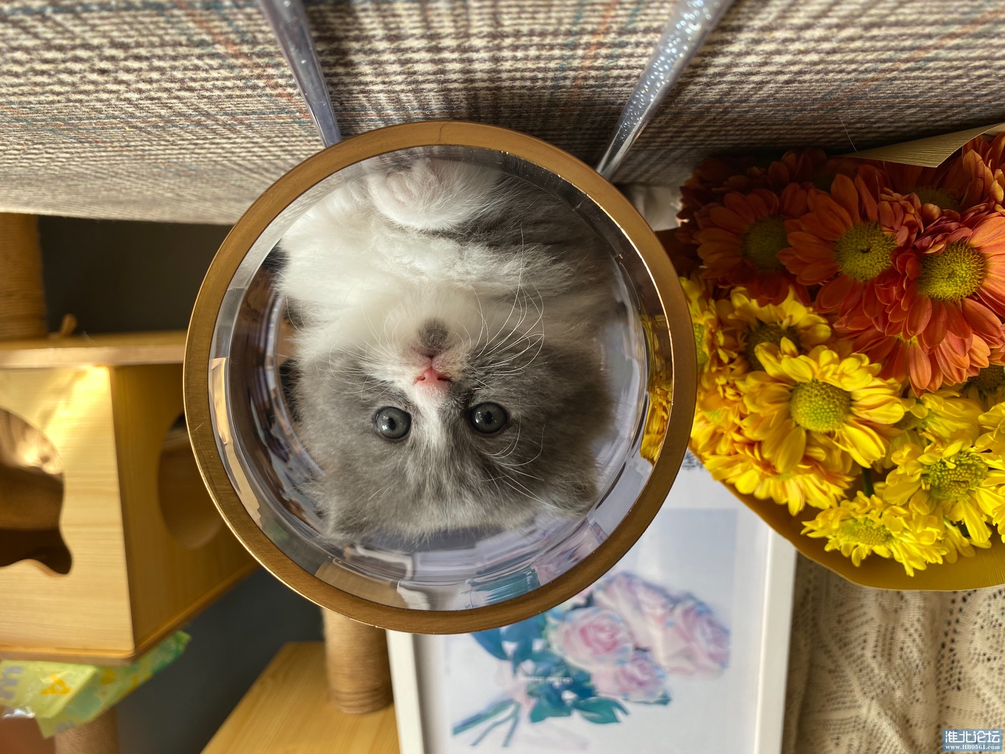 A1573E00-4CCE-48B1-93BD-CAA01DCB1378.jpeg