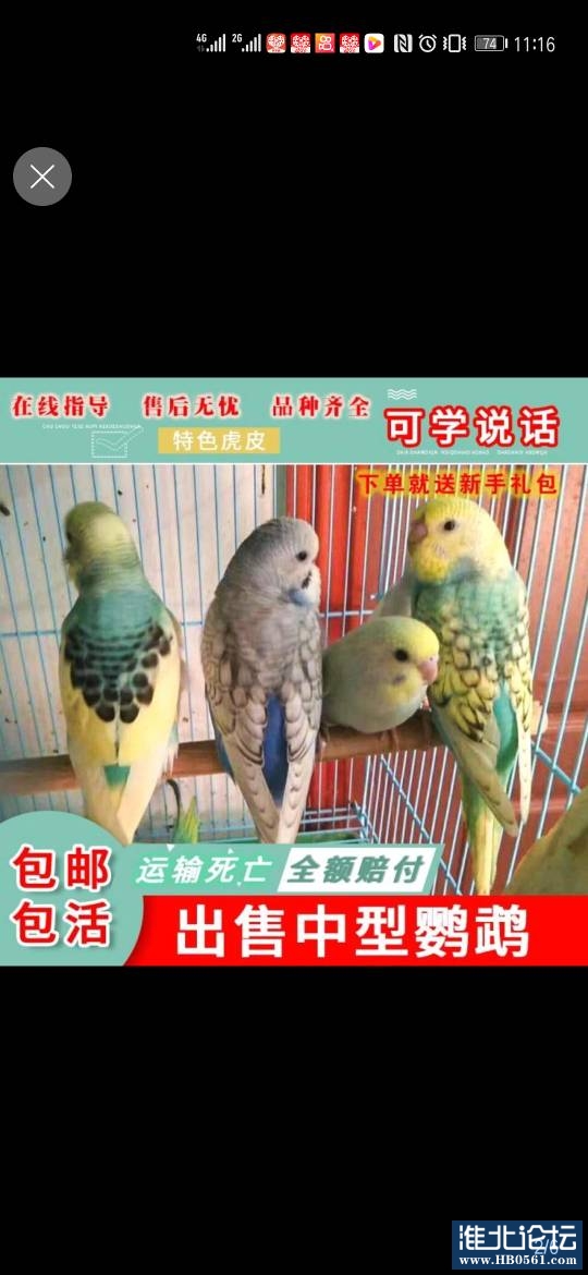 130240vi9wswg9c5z1g9qc.jpg