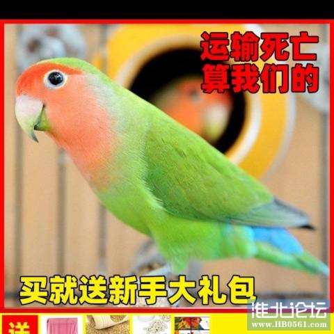 130244fzs9j6jg78js0za6.jpg