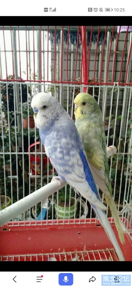 130253qdq3sdburi55d7j2.jpg