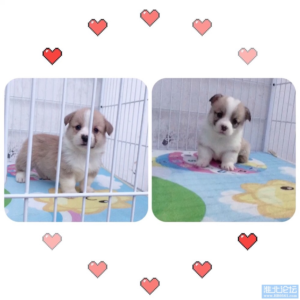 083150um700u0q1zqg7917.jpg