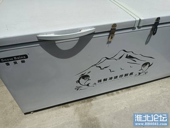 120149qx1j8s5w33e7tzs4.jpg