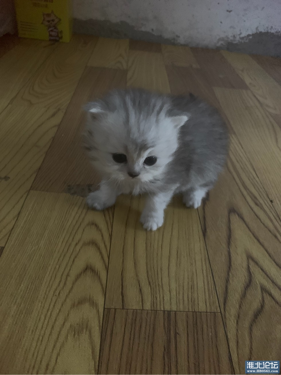 190134oujndnnjazauj69p.jpg