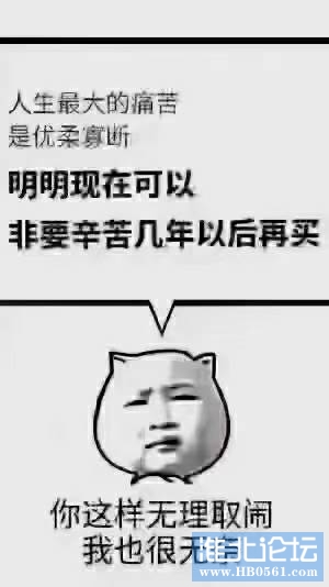 101133oo4wr8k83bc474sn.jpg