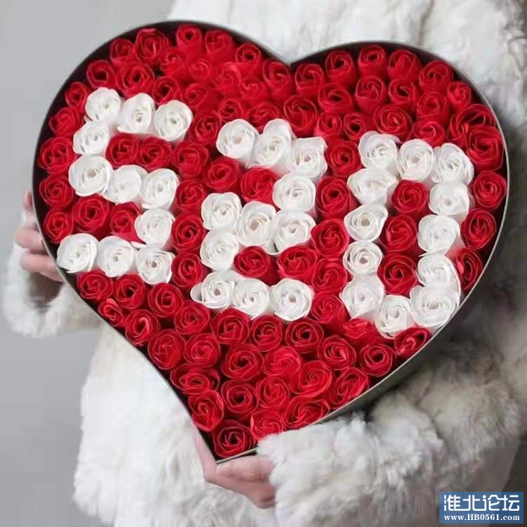 f51a063611fec6a4a2915c085395919.jpg