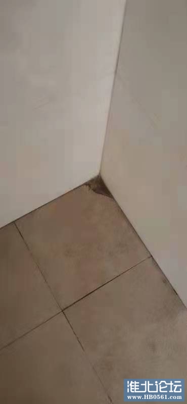 190346mz8arn8oapda8beb.jpg