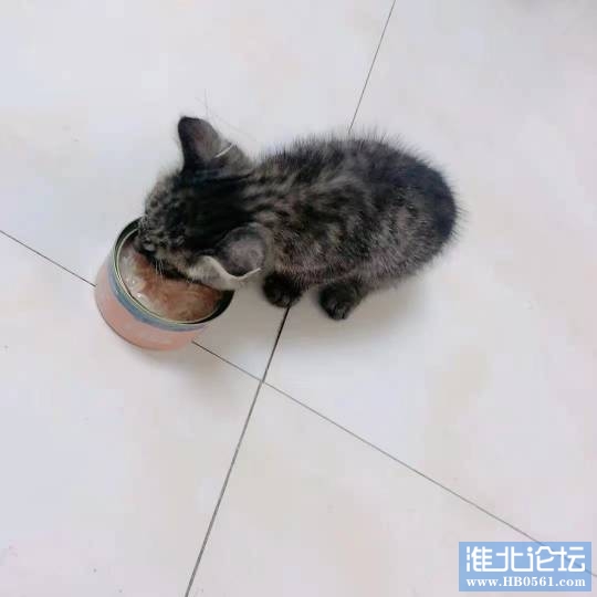 210635taen11yc41eyaie7.jpg