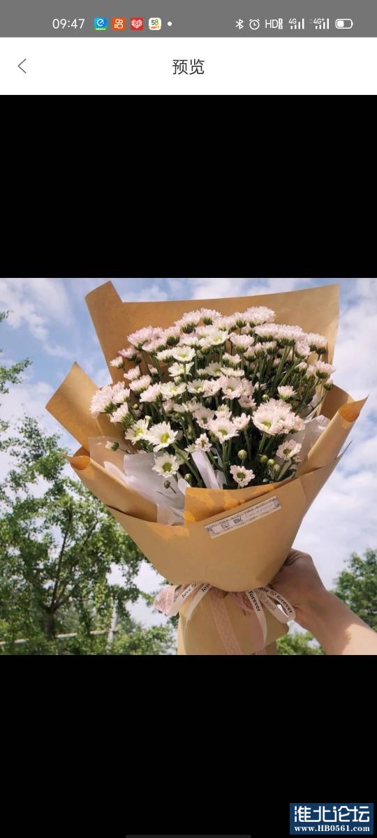 125612wyysudss6cswjjjw.jpg