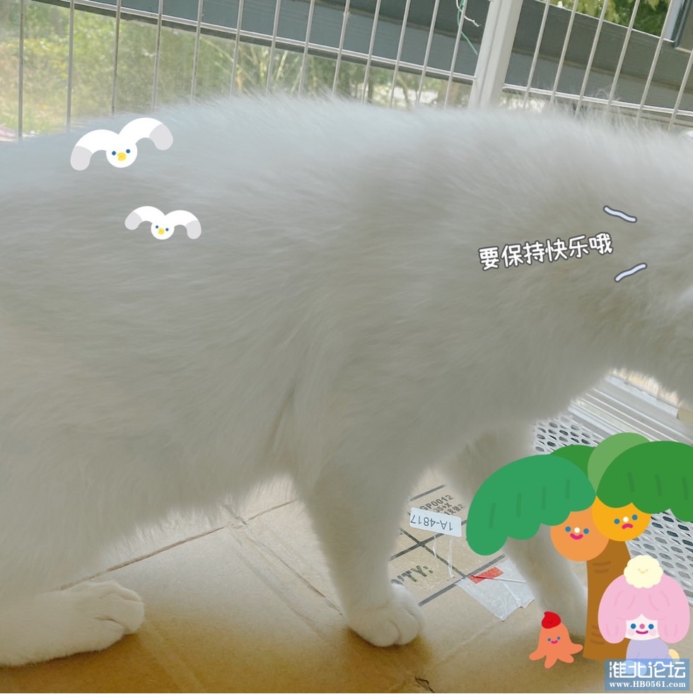 123241e4f494fshnr6omg1.jpg