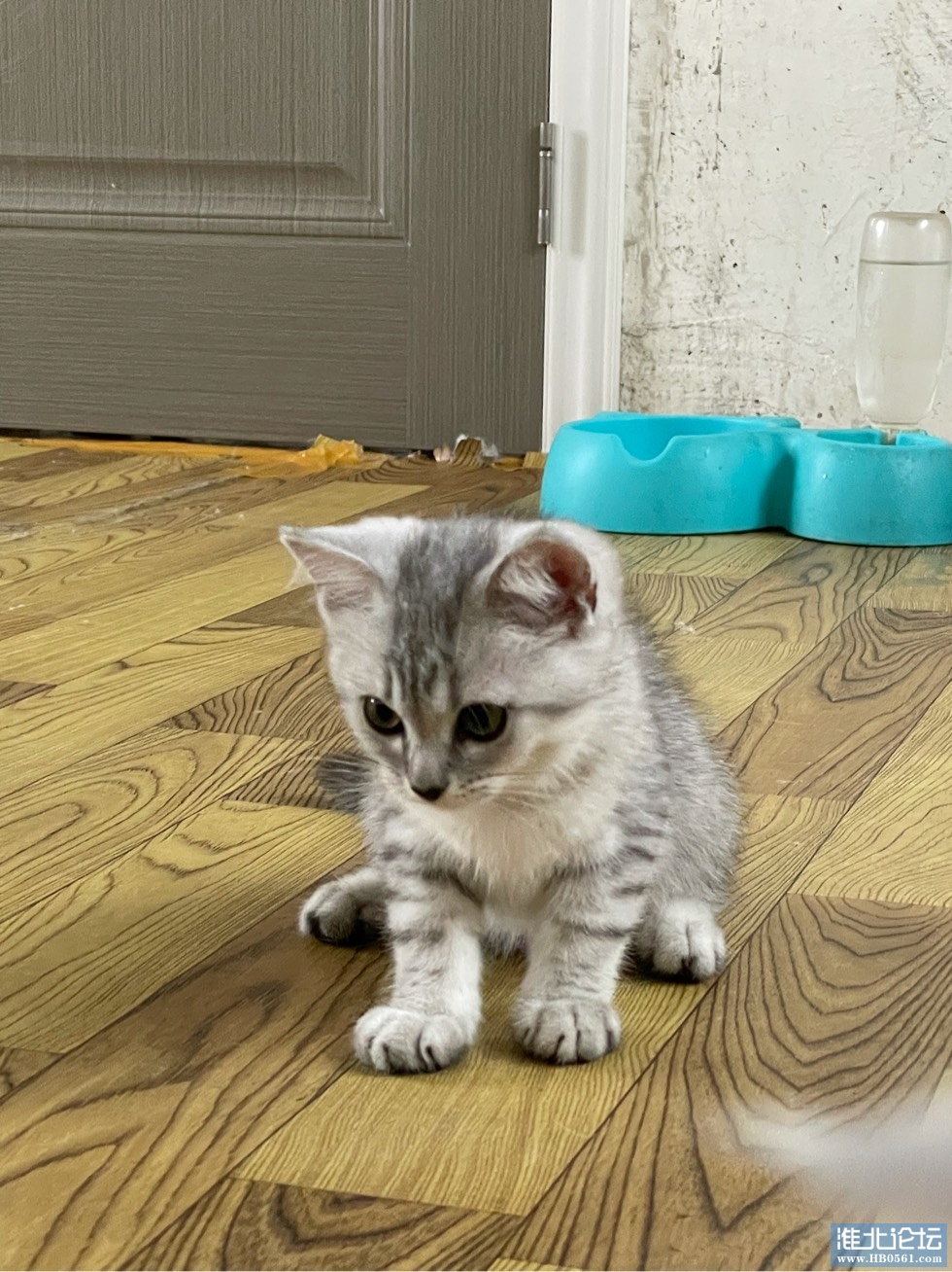 175304lm6fzllmj2felm66.jpg