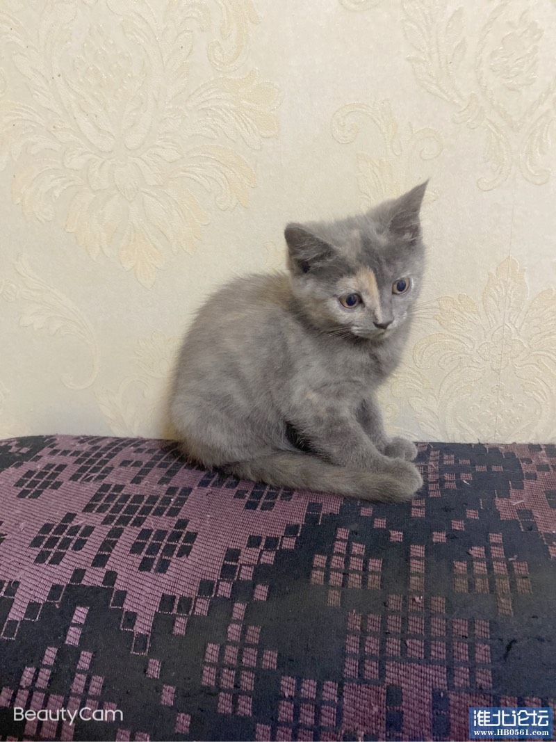 195323fjj50bfgjttioufi.jpg