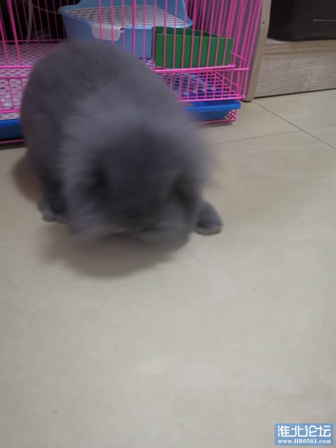 074733hgvj5kvg2kuqxxgn.jpg