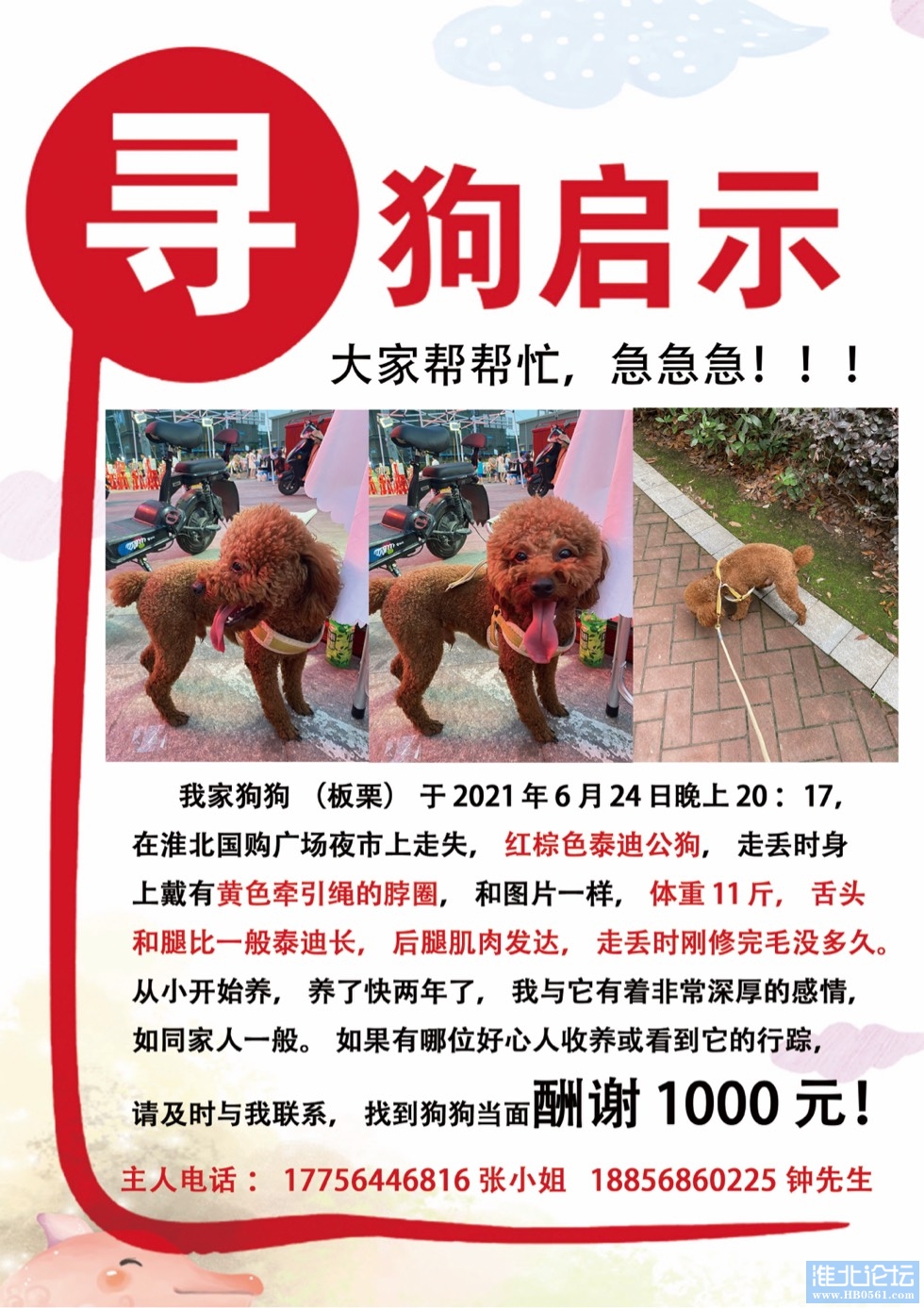 083359qd50uc24g66aggif.jpg