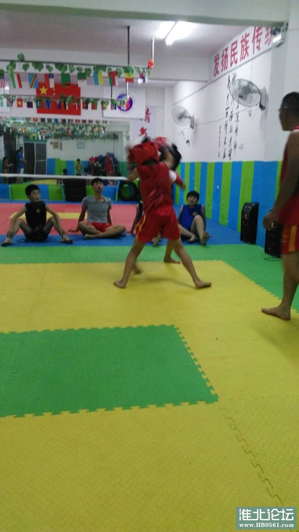 113924w8num6jkjogok8kg.jpg