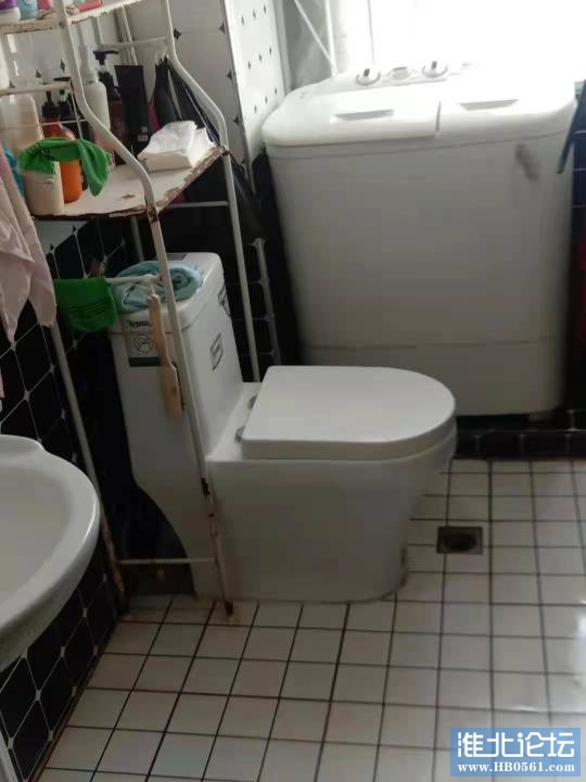 104540rn5zeiim5pbzbvne.jpg