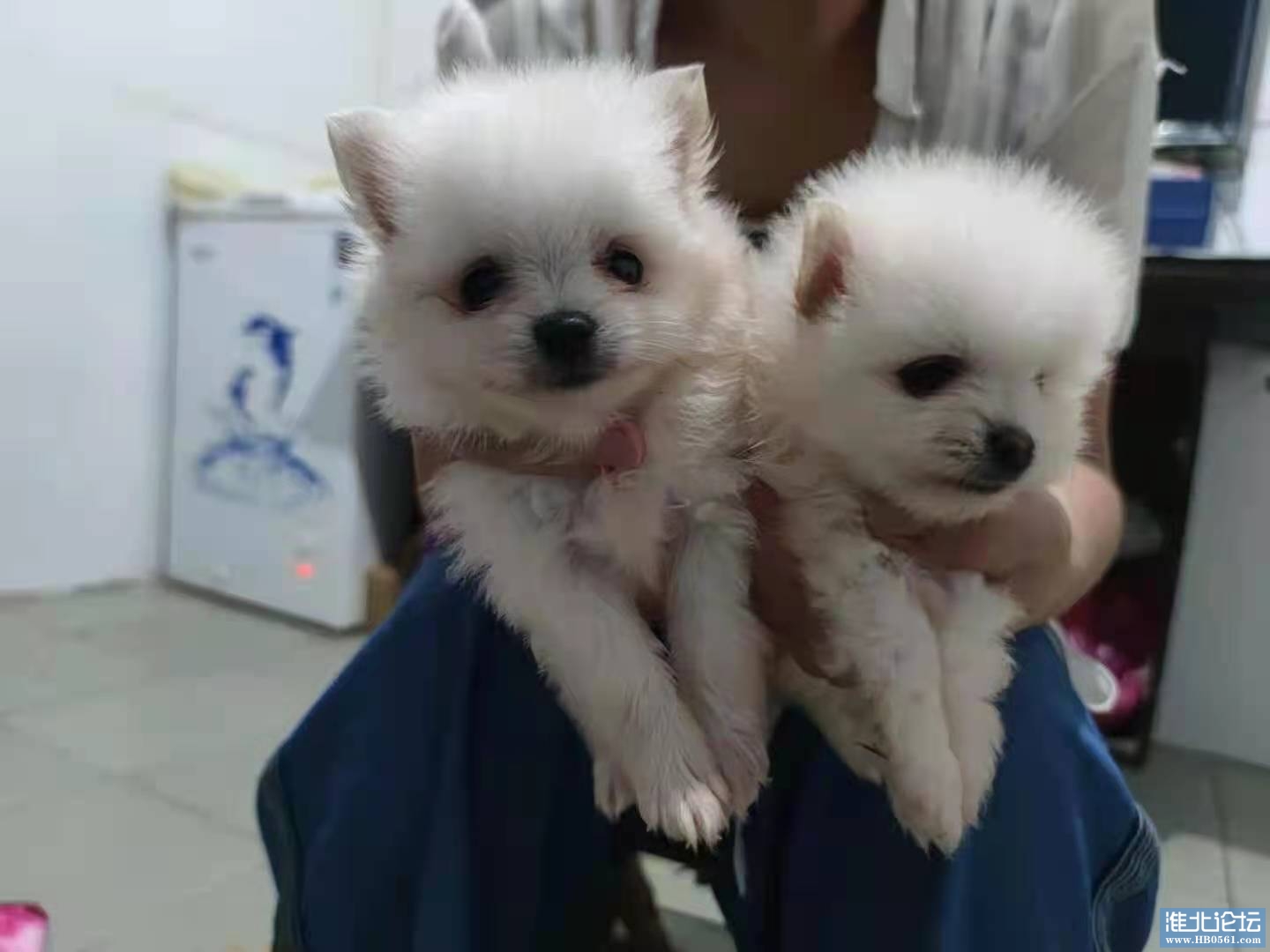 微信图片_20210811180238.jpg