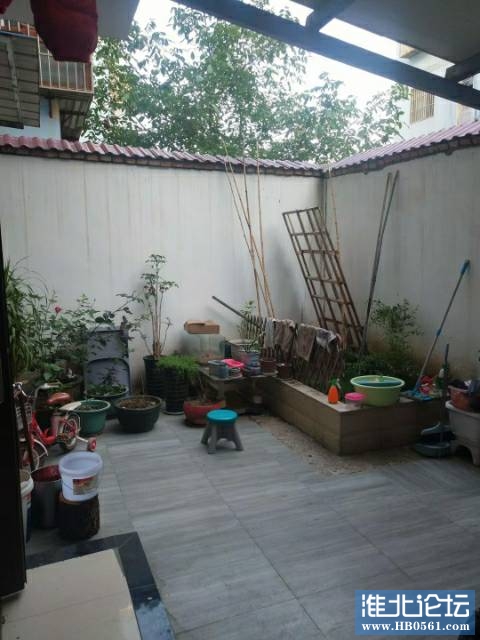 145436sewe6e9wu6wetefw.jpg