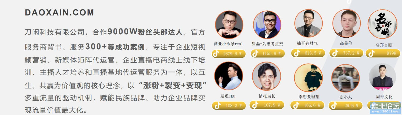公司实力
