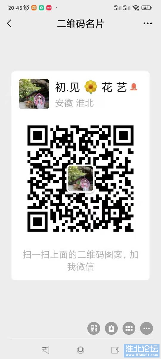 204847zfliiooyyfymhjro.jpg