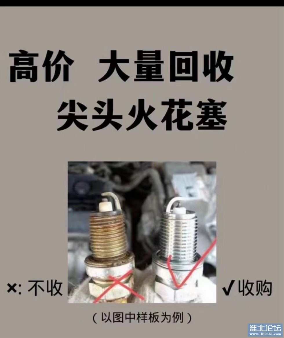 224351s2kjgmttmxptq44x.jpg