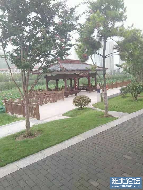 180521q6kzxx4osqoenoao.jpg
