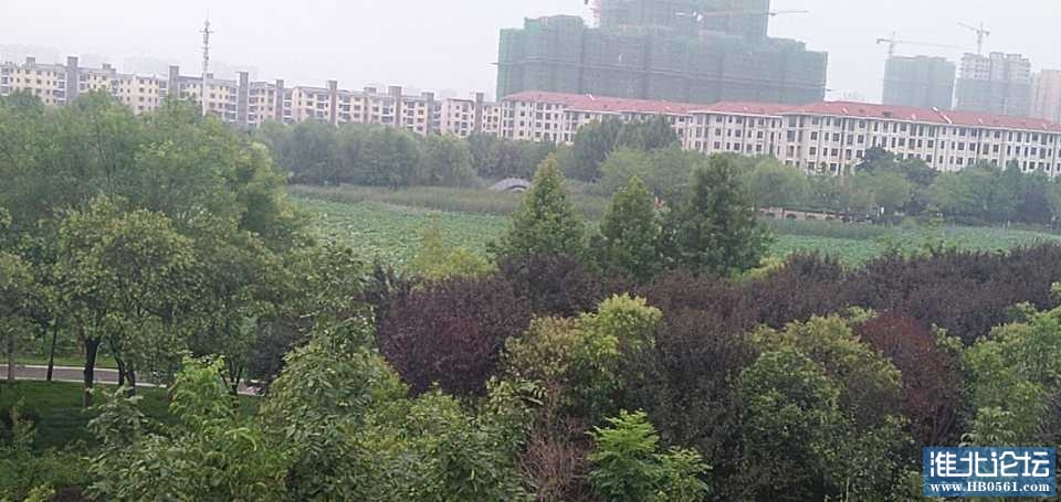 180521rp444i2l5r2q97fo.jpg