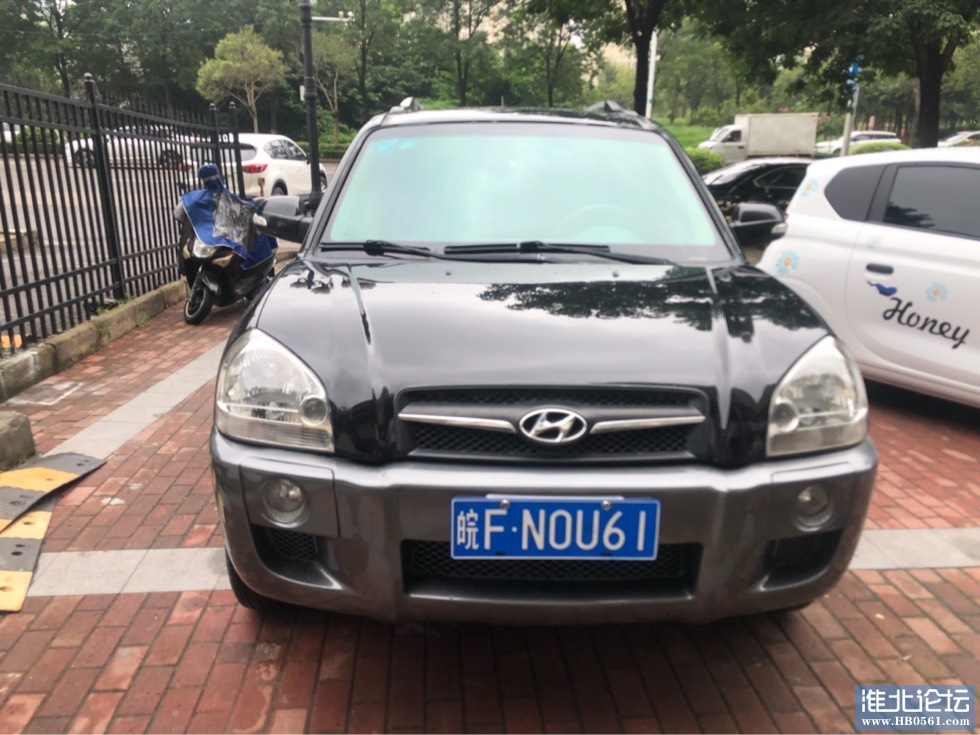 181938o66zf5remq0el65l.jpg