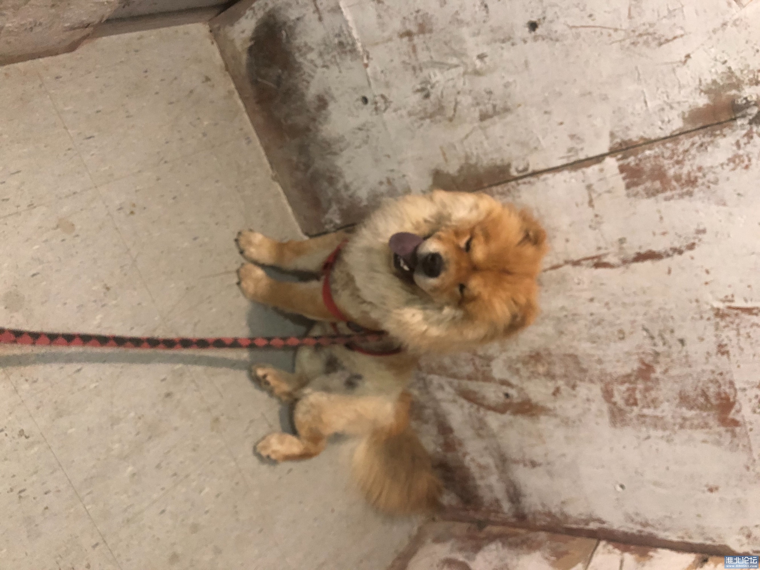 A84010DE-AFF0-4697-A361-759FD6CB2907.jpeg