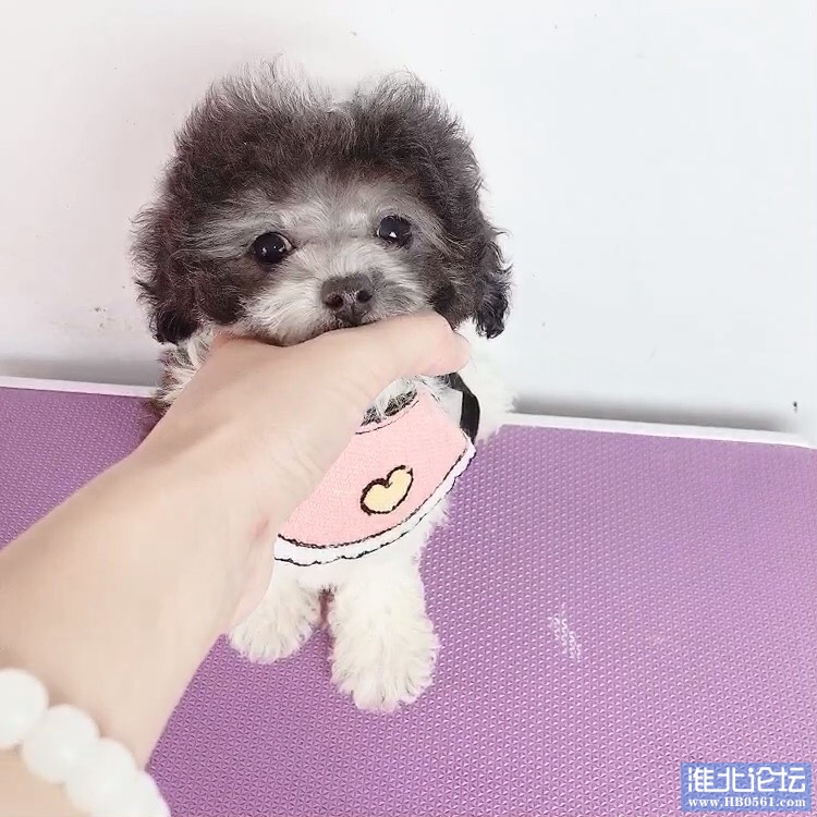 215939uoi2j3xjsy33247l.jpg