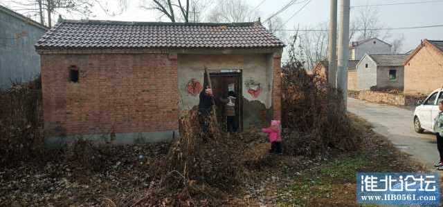 IMG_20211015_164910.jpg