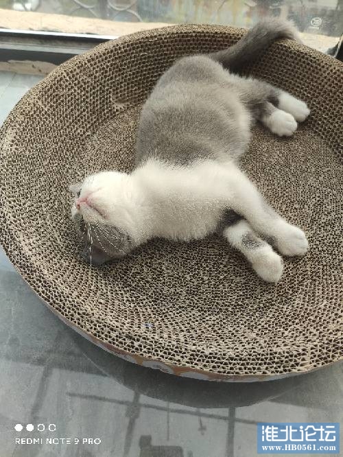 123514qjwdddwdt56du56j.jpg