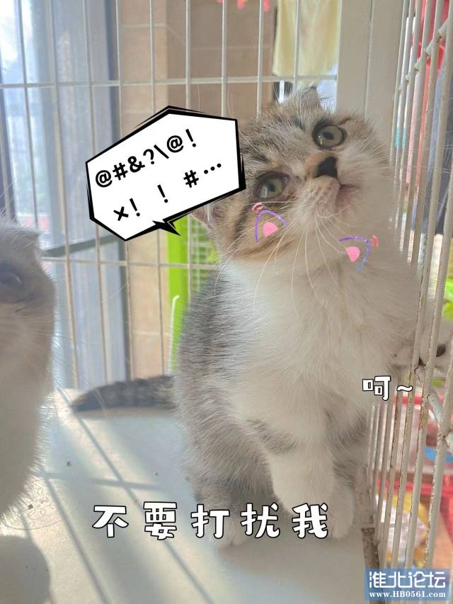 222314kebdn9kz56fn9ndc.jpg