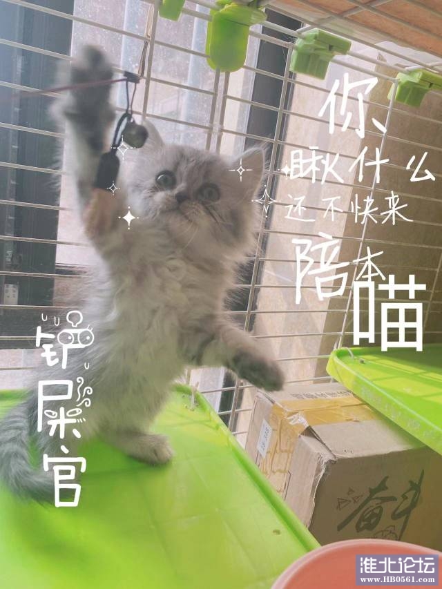 222316xe21imzubng2c2ci.jpg