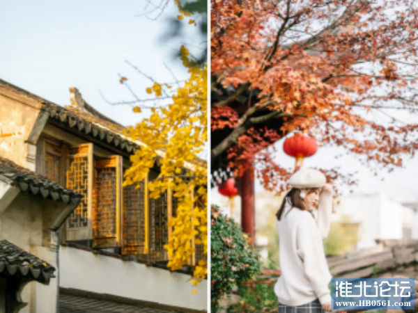 秋冬周庄，摇曳在江南水乡里的慢时光72.png