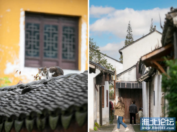 秋冬周庄，摇曳在江南水乡里的慢时光354.png