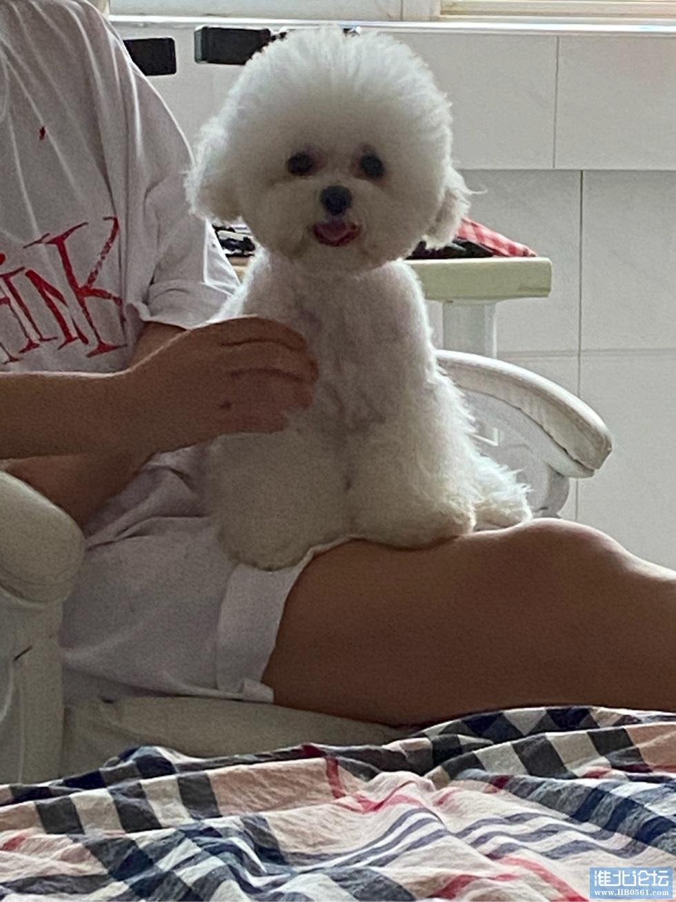 122929hlxzxlrxirubugre.jpg