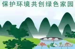 100850r58n45ss2b2bso2f.jpg
