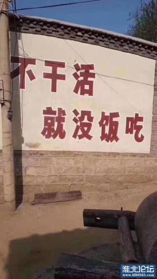 081847eiiii83xcndxy8cv.jpg