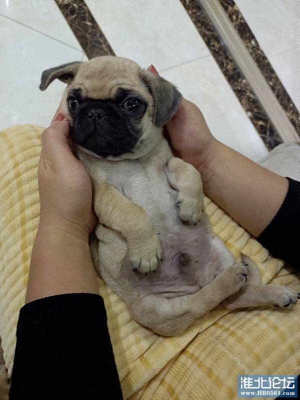 150315mebqei8vbeenvz0w.jpg
