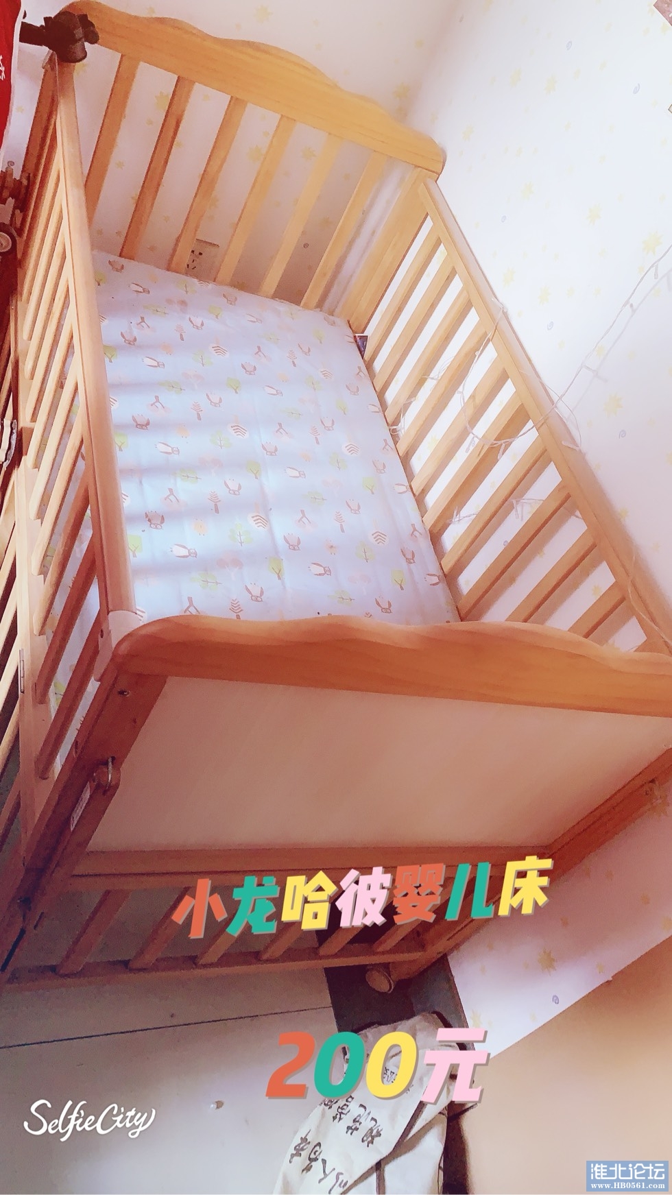 055611oufoo9936zo6c9f6.jpg