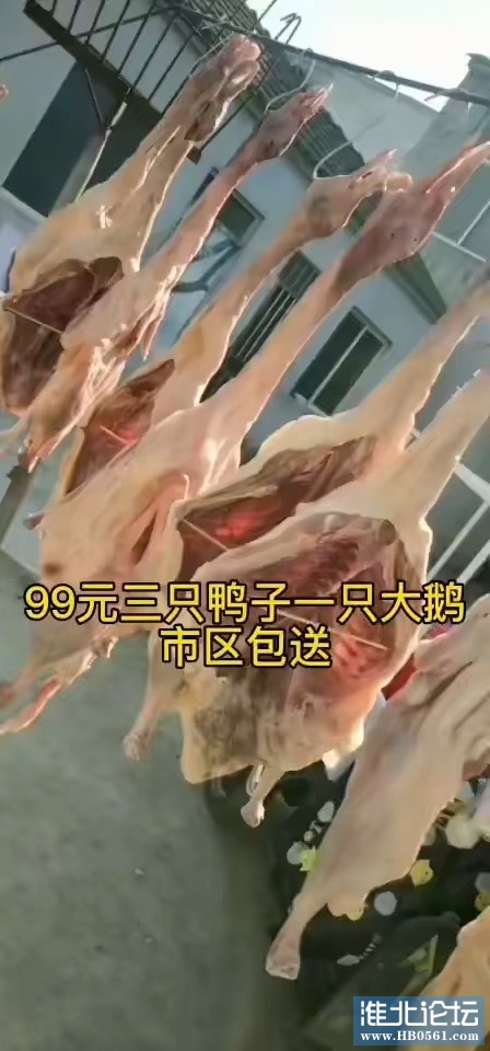 133929ztmd70j5m7hwtmdh.jpg
