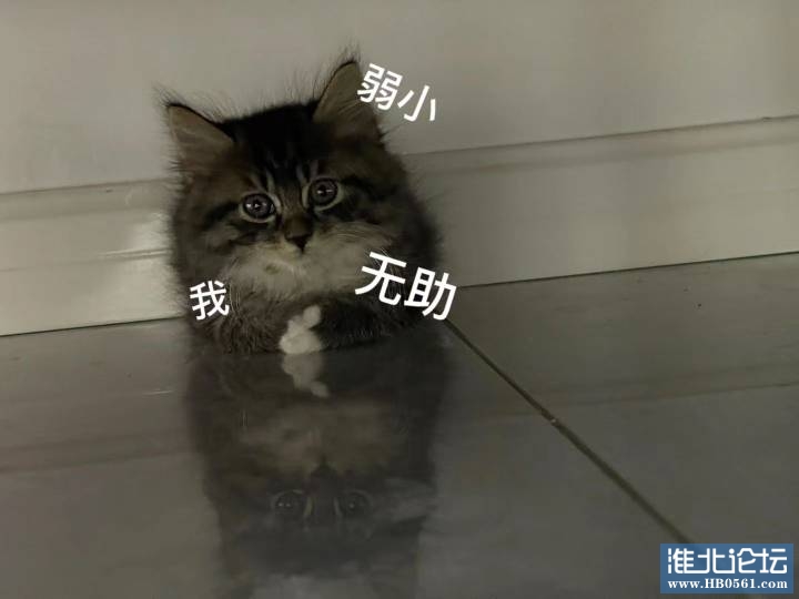 180927wnjvvvcof1smninb.jpg