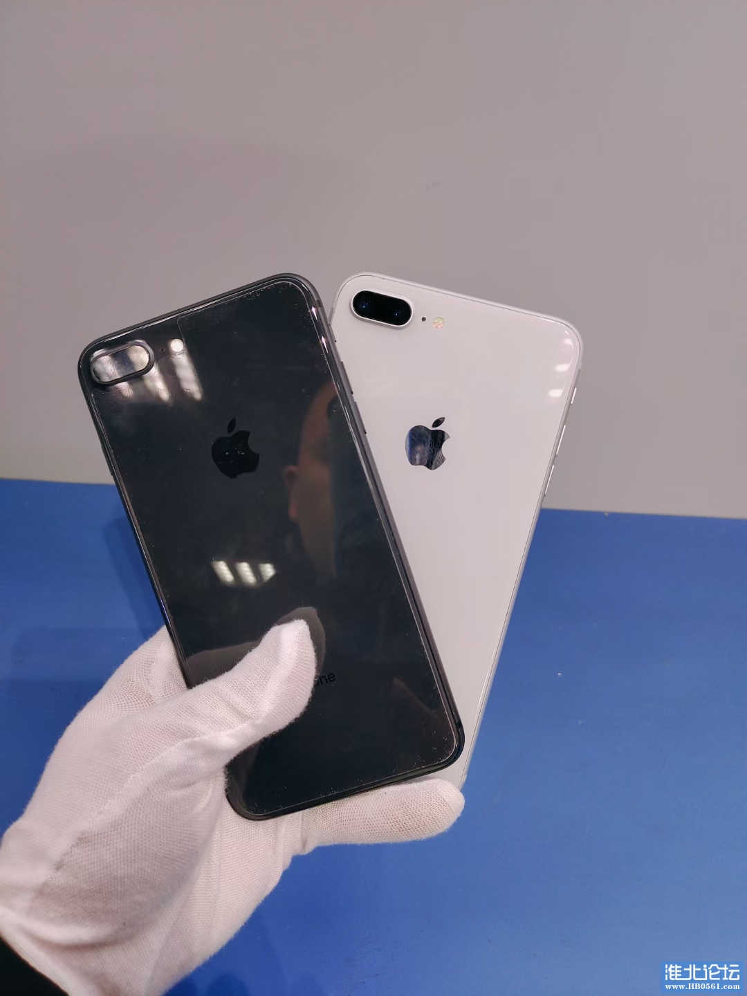 mmexport1642298647548.jpg