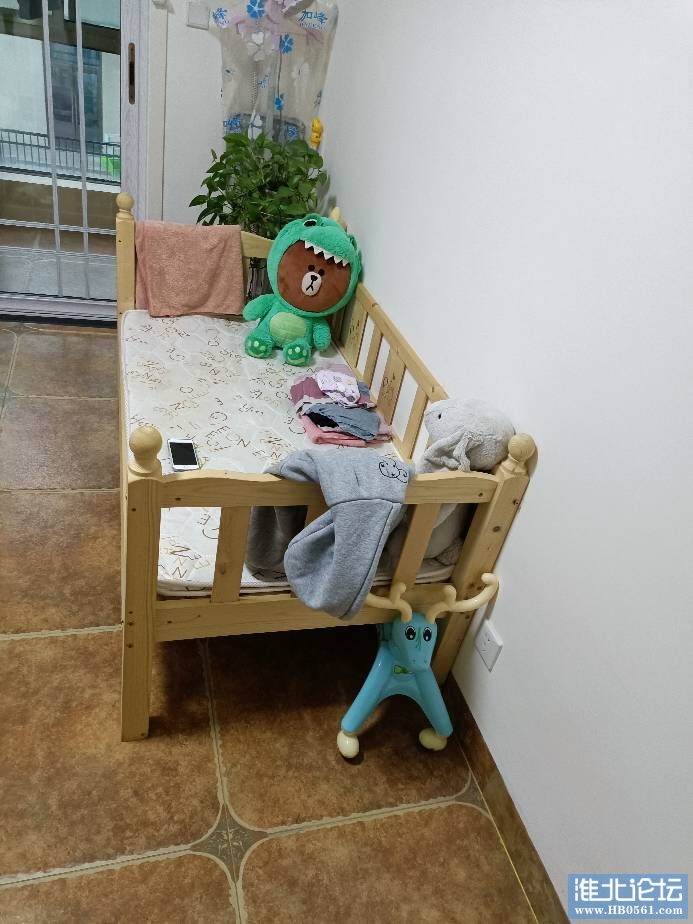 090403zum686e0x66q0olc.jpg