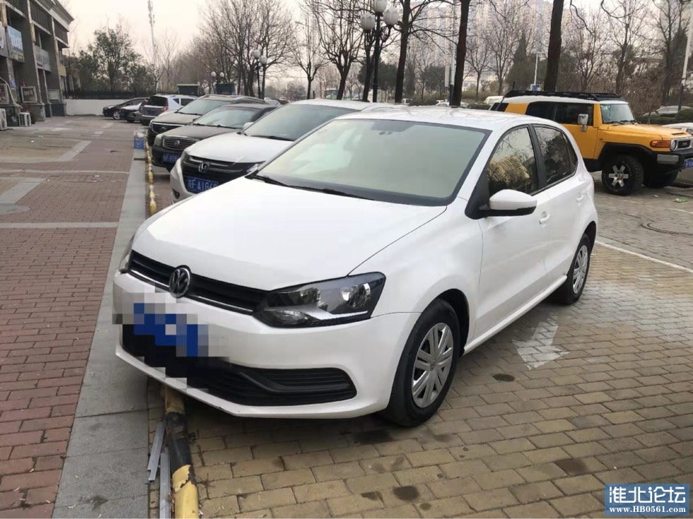 204945hs080sgarlszs0q6.jpg