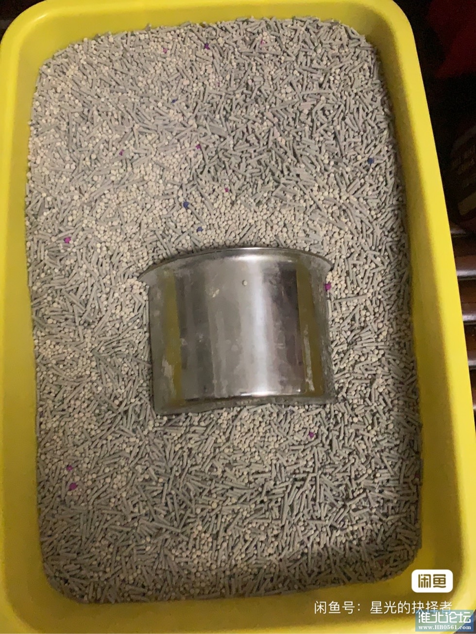 071106lvi1l3h4j153hveh.jpg