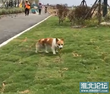 QQ图片20220218092616.png