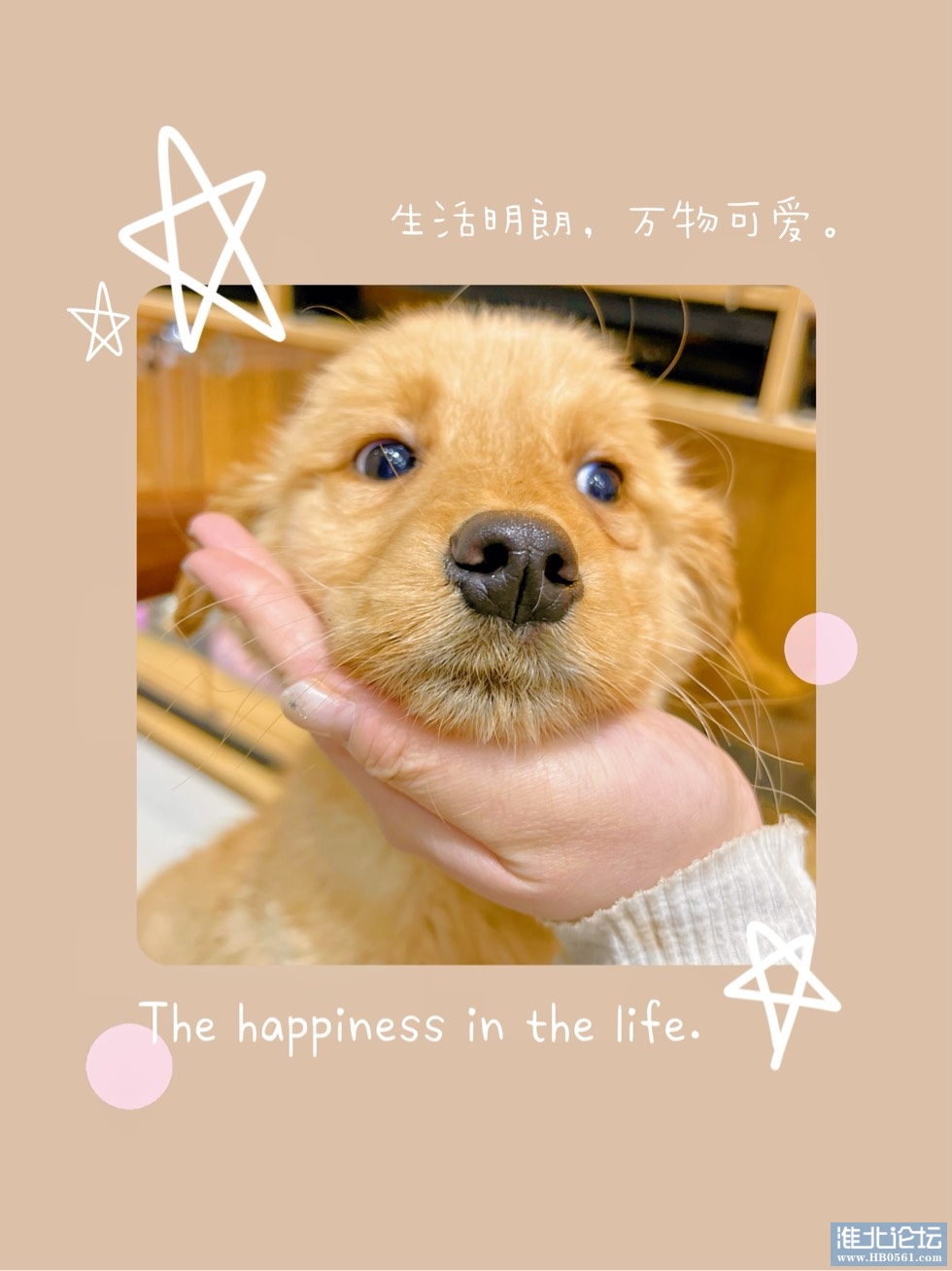 171625xterptfp0izbd7e3.jpg